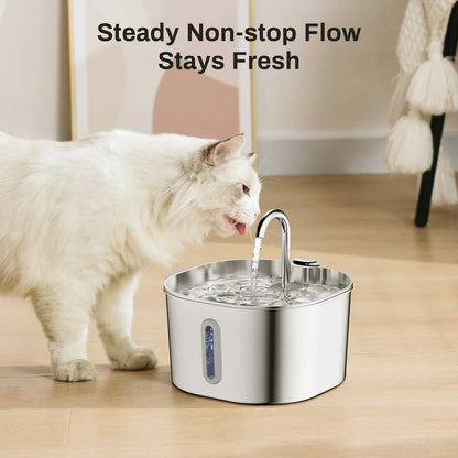 The PAWPIPET™ 2.2L Fountain