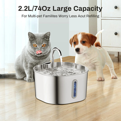 The PAWPIPET™ 2.2L Fountain Filters